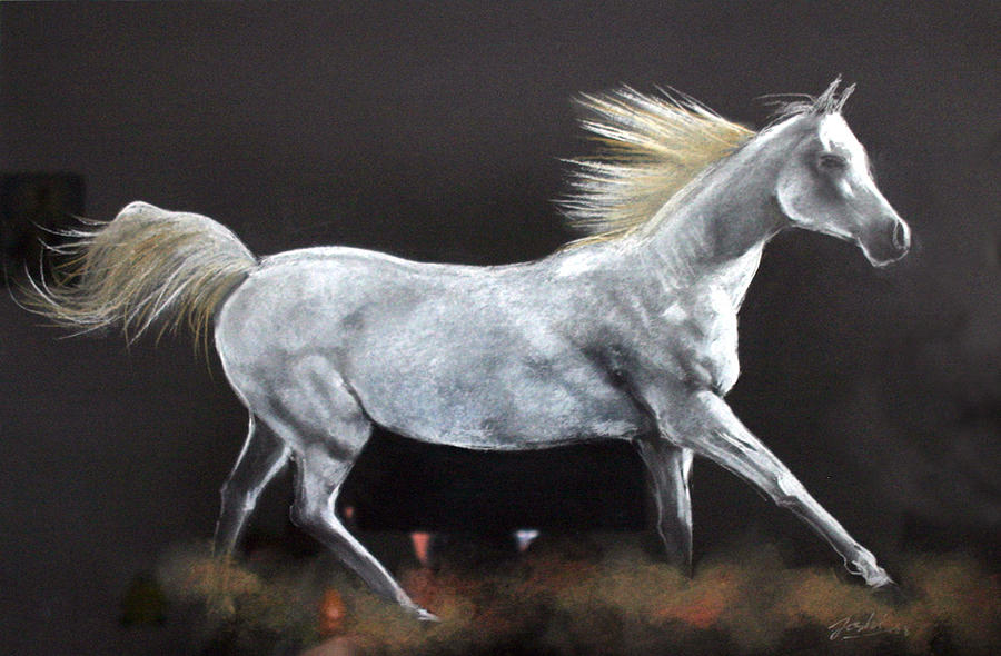 Horse Drawing - Horse by Kurian Joshi