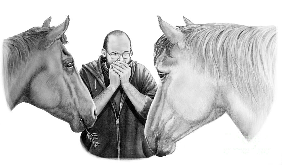 Horse Music Drawing by Murphy Elliott