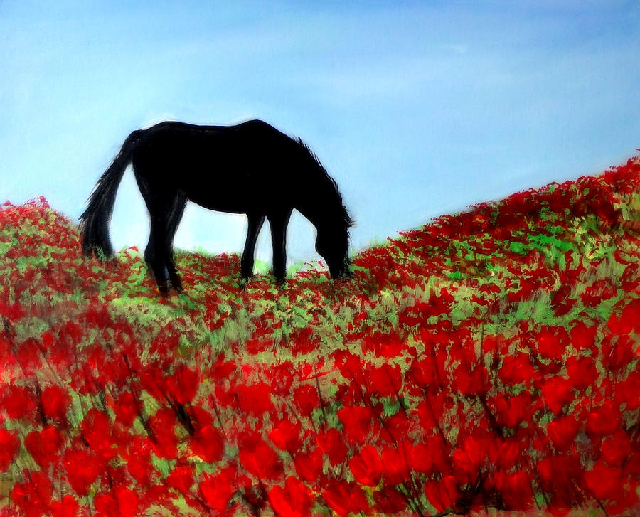 Horse on a Ridge Eating Poppies Painting by Katy Hawk