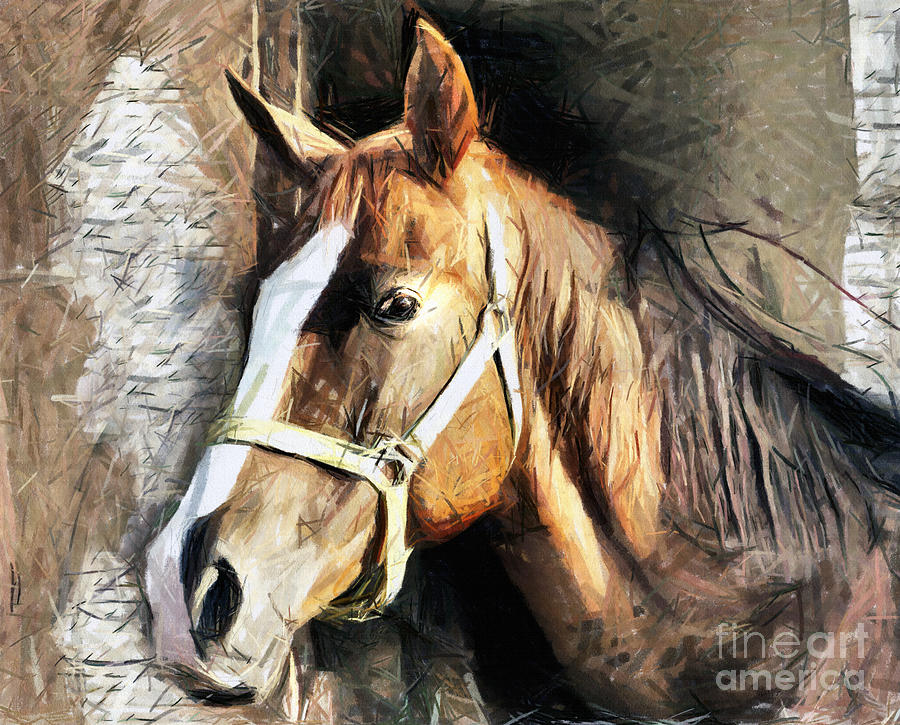Horse Portrait - Drawing Drawing
