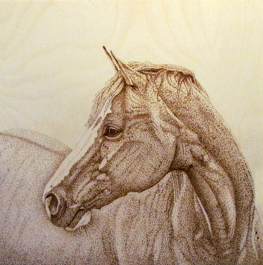 Horse Portrait Pyrography by Fay De Jong - Pixels