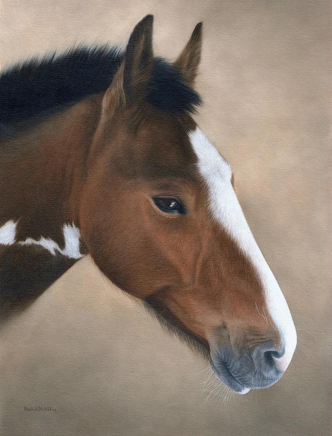 Horse Portrait Painting Painting by Rachel Stribbling