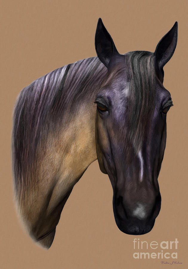 Horse Portrait Digital Art by Walter Colvin