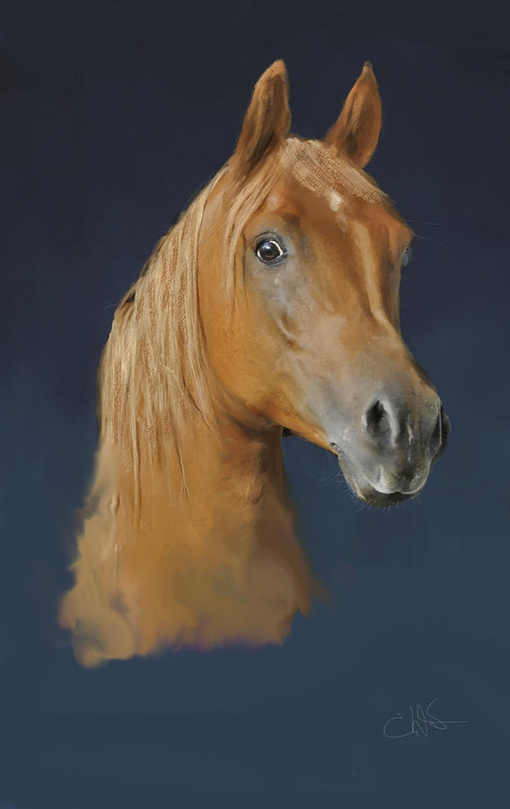 Horse Profile Digital Art by Dale Stillman