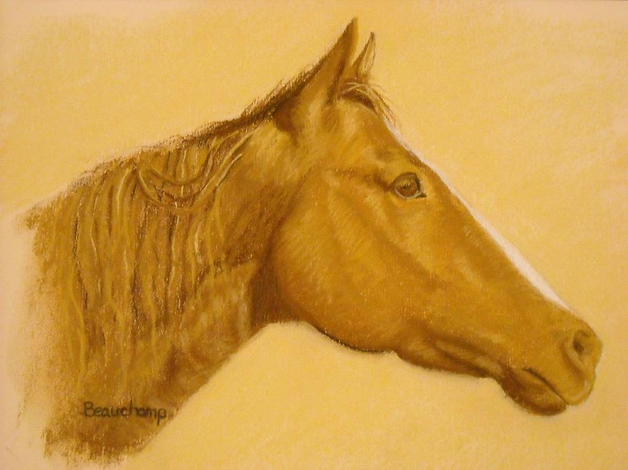 Horse Profile Pastel by Nancy Beauchamp
