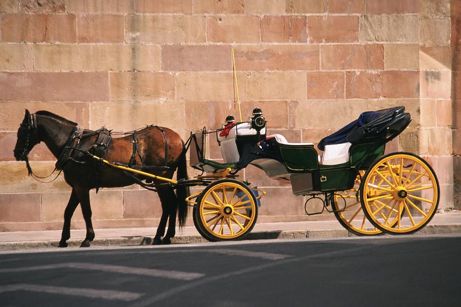 Horse pulling a carriage, Malaga, Spain Photograph by Glowimages