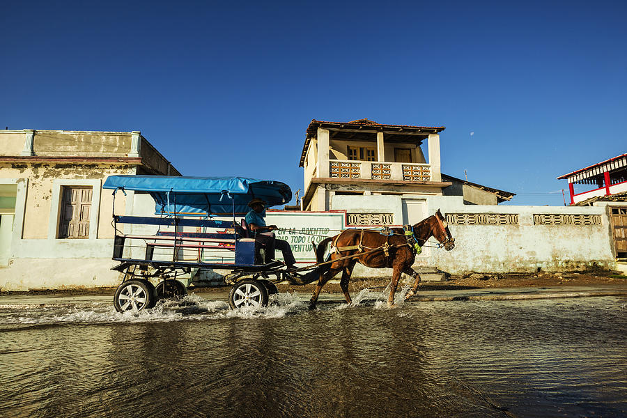 Horse pulling cart in puddle, Baracoa, Guantanamo, Cuba Photograph by Pixelchrome Inc
