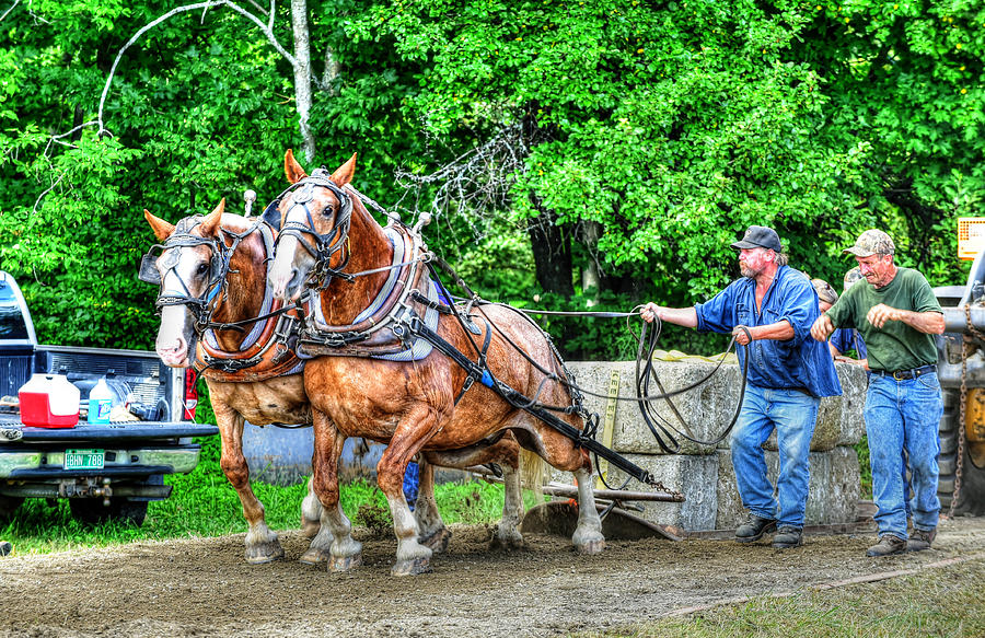 Horse pulling Photograph by Jim Boardman