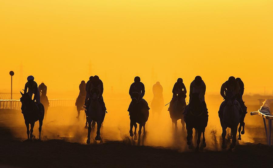 Horse Racing Against Clear Orange Sky Photograph by Bob Mccaffrey / Eyeem Horse Racing Against Clear Orange Sky Photograph by Bob Mccaffrey / Eyeem