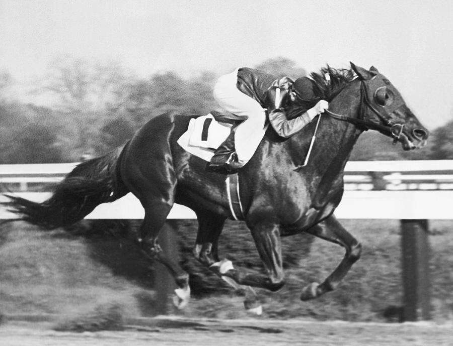 Horse Racing At Pimlico Track Photograph by Underwood Archives