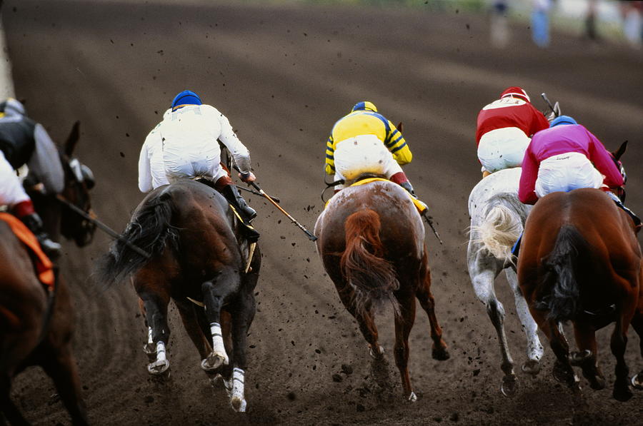 Horse racing, back view of five competitors, mud flying up Photograph by David Madison