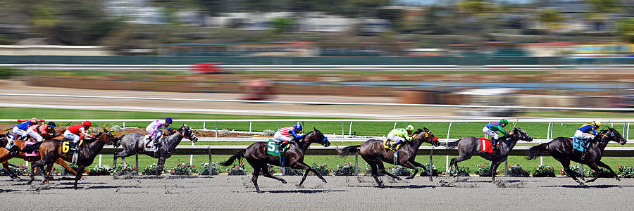 Horse Racing Photograph by Alexandra Till