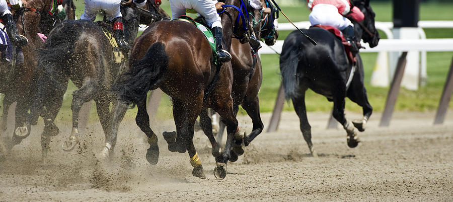 Horse Racing down the stretch they come Photograph by Cmannphoto