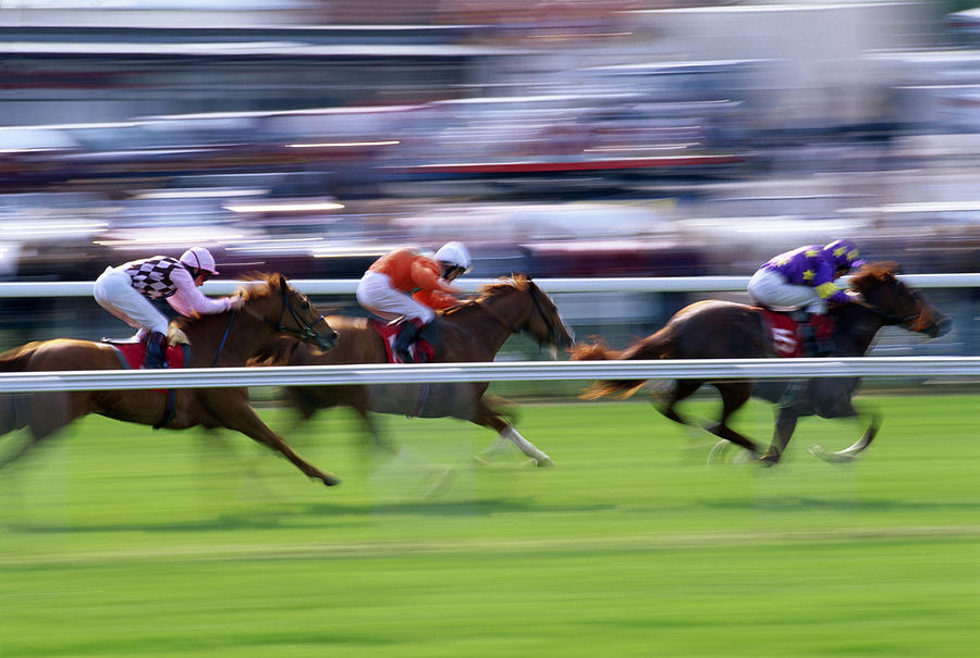 Horse Racing, England Photograph by Romilly Lockyer
