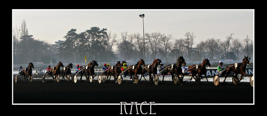 Horse Racing - Hippodrome de Vincennes Paris Photograph by Daliana Pacuraru