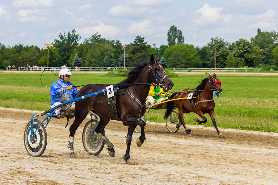 Horse racingtaking the 1st place Photograph by Gabriel Radulescu Pixels