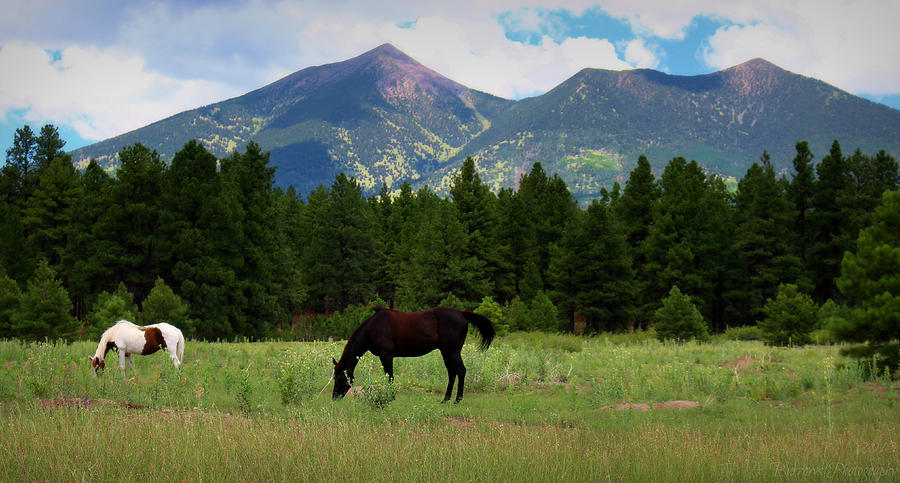 Horse Ranch and the Peaks Photograph by Aaron Burrows