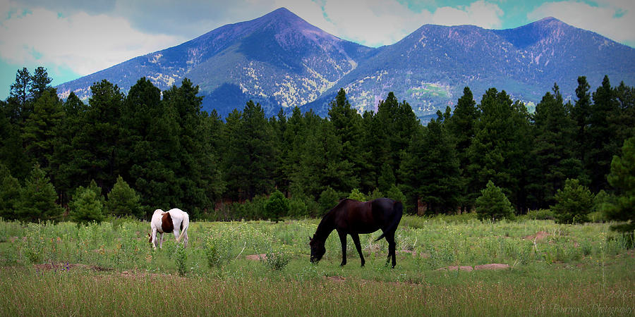 Horse Ranch Below the Peaks Photograph by Aaron Burrows