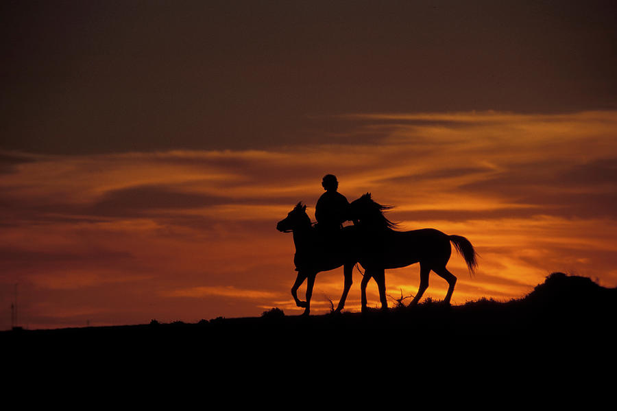 horse and rider in sunset