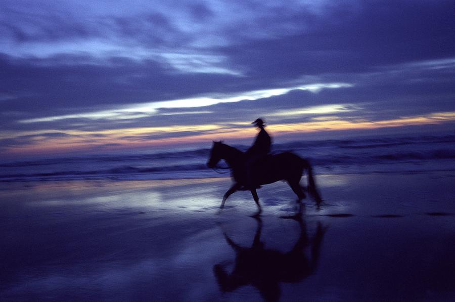 Horse Riding Photograph by Bettina Salomon/science Photo Library