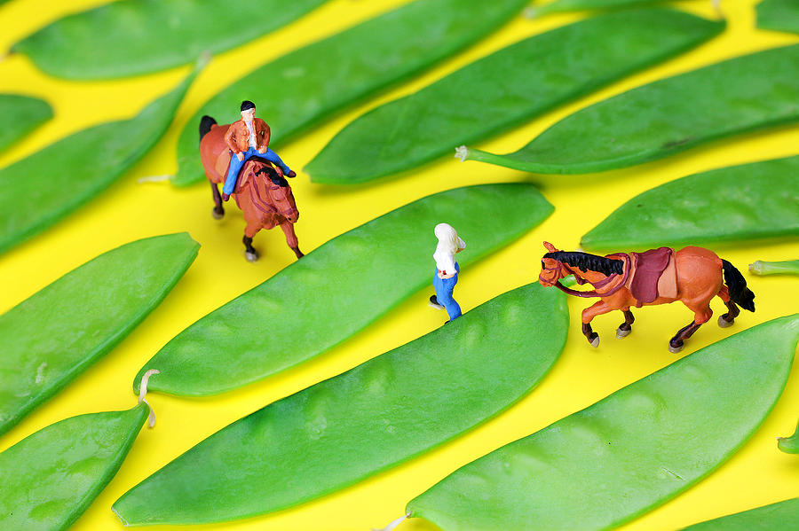 Horse riding on snow peas little people on food Photograph by Paul Ge