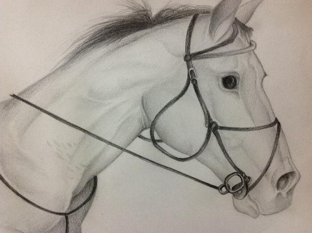 Horse Drawing by Rima V