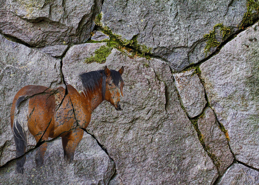 Horse Rock Photograph by Steve McKinzie