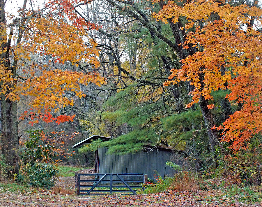 Horse Shed in the Fall Photograph by Duane McCullough