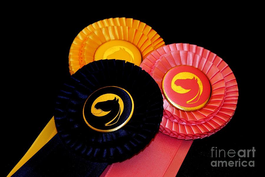 Horse Show Ribbons Photograph by Janice Byer
