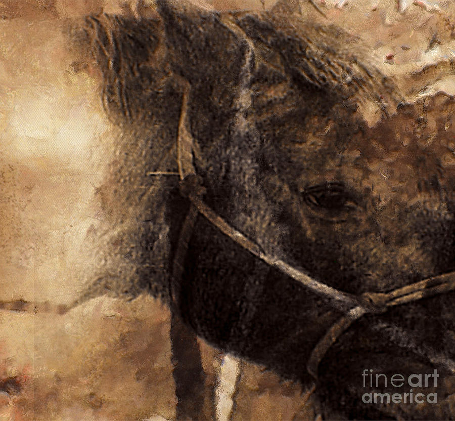 Wildlife Mixed Media - Horse Sketch by Yanni Theodorou