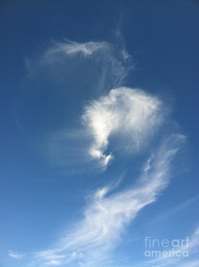 Horse Spirit Cloud Photograph by Krissy Katsimbras