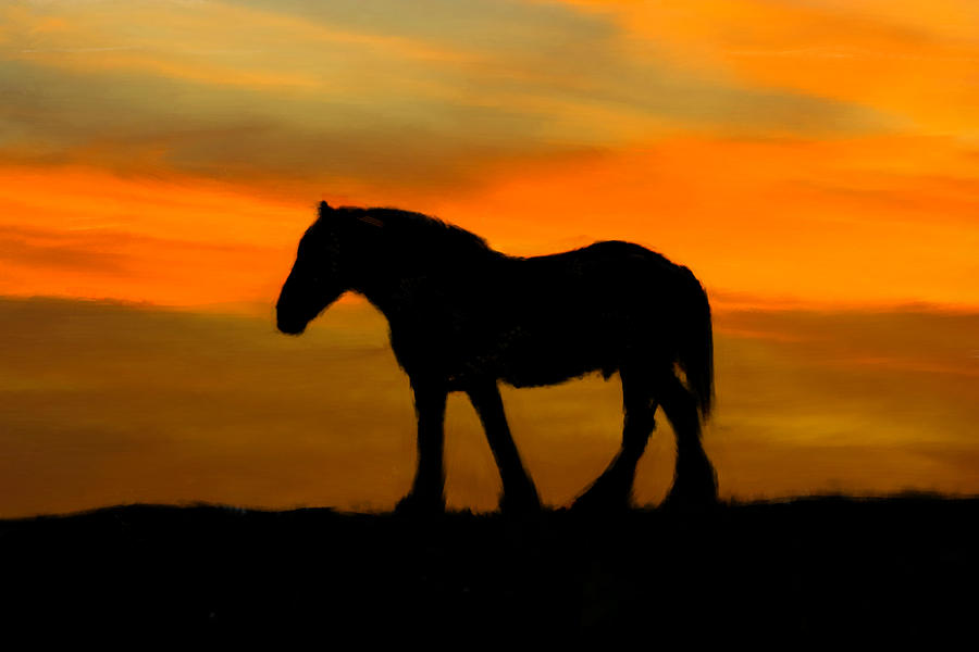 Sunset Painting - Horse Sunset by Bruce Nutting