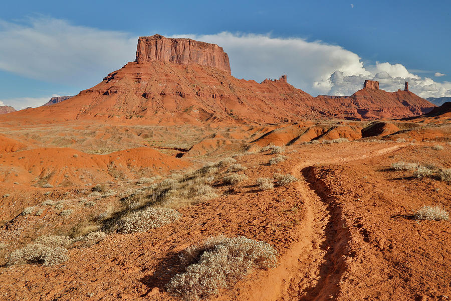 Desert Photograph - Horse Trail Leading Into Professor by Darrell Gulin