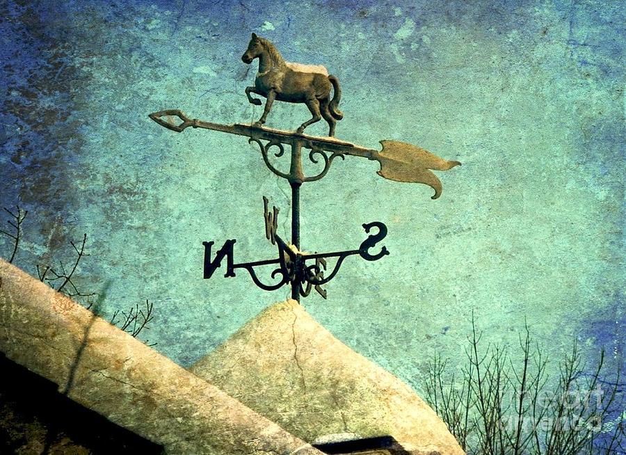 Horse Weather Vane Photograph by Beth Ferris Sale