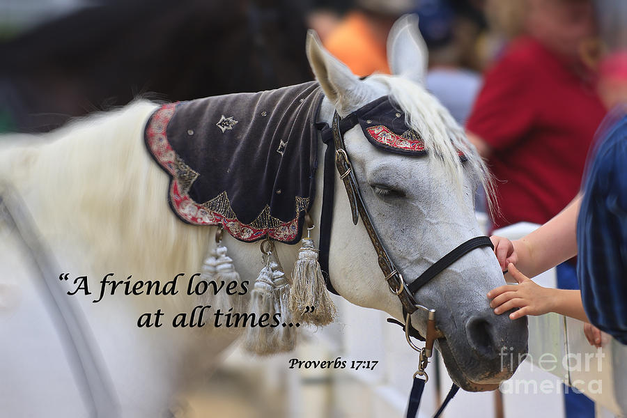 Horse With Scripture Verse Photograph