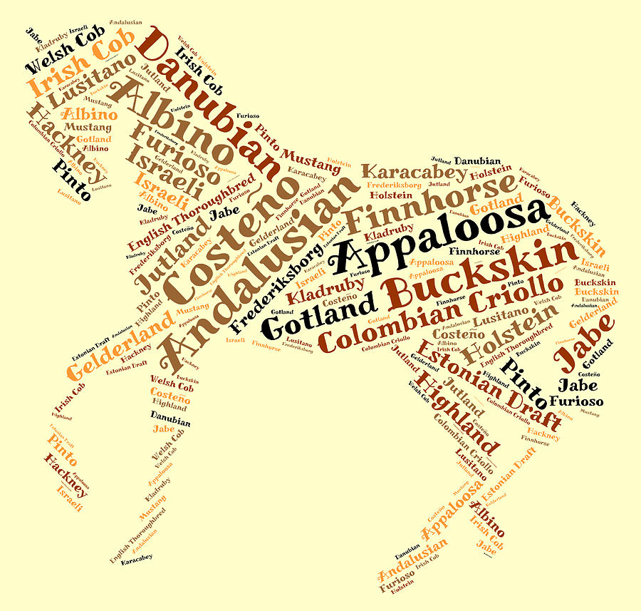 Horse Word Cloud Painting by Bruce Nutting