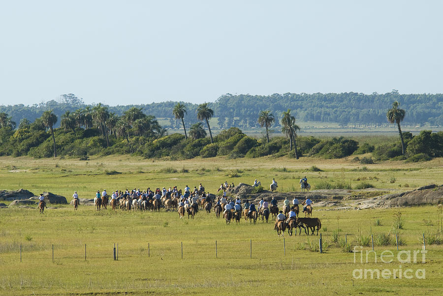 Horseback Riding In Uruguay Photograph by William H. Mullins