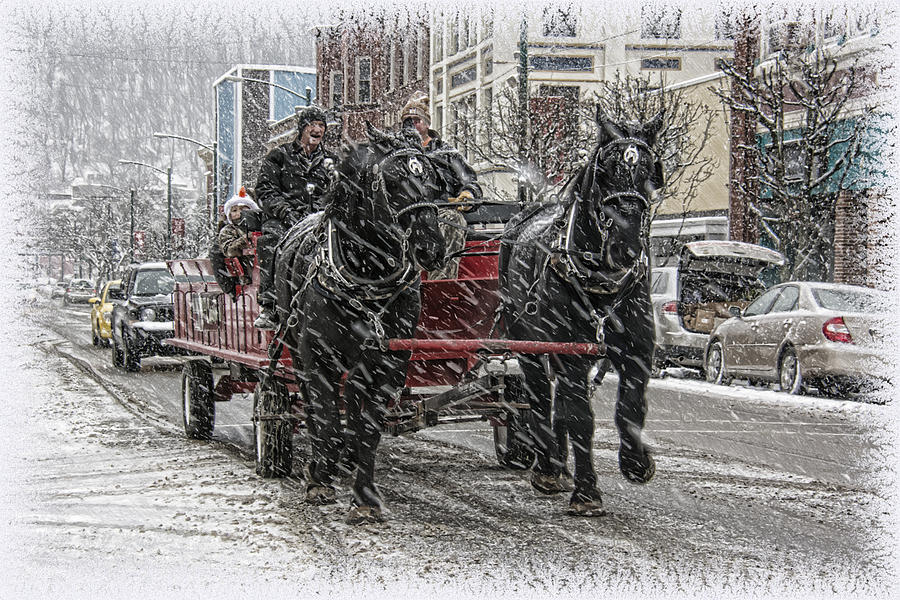 Horsedrawn Carriage Photograph by Wade Aiken