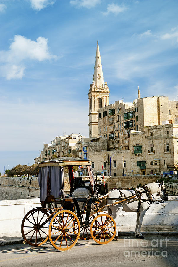 Horsedrawn Cart In Valetta Malta Photograph by JM Travel Photography