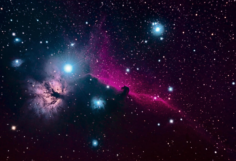 Horsehead and Flame Nebulae Photograph by Randy Armitage - Pixels