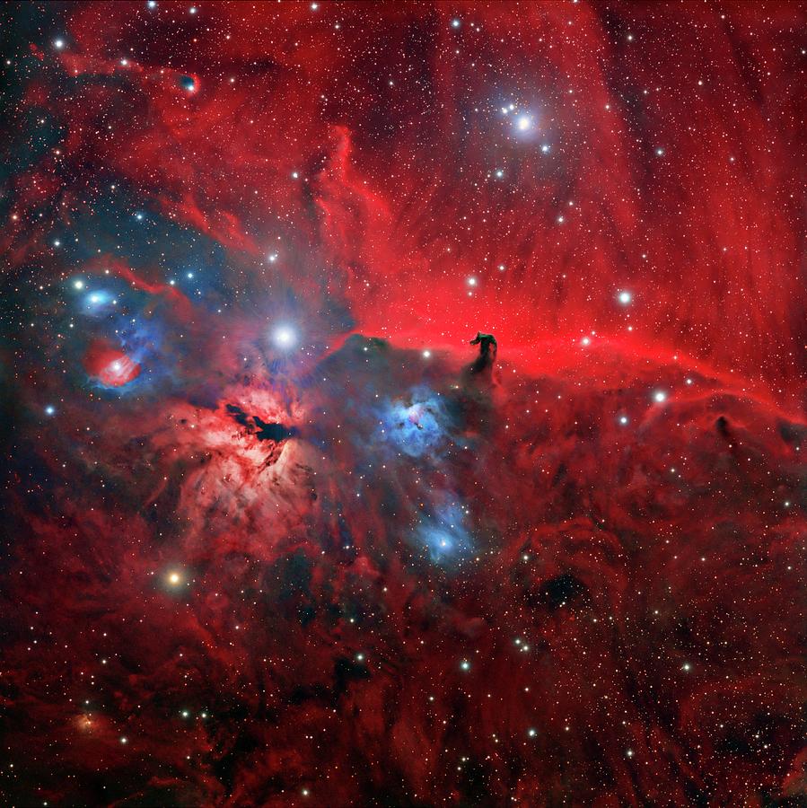 Horsehead And Flame Nebulae Photograph by Tony & Daphne Hallas