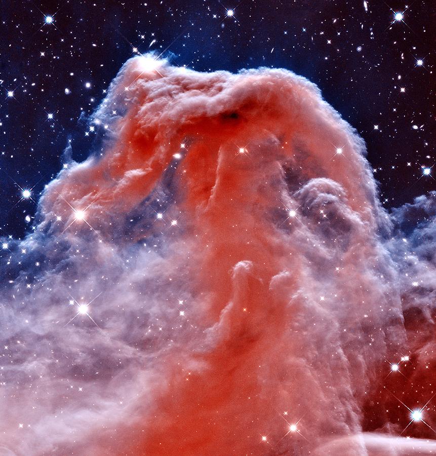 astronomy horse head