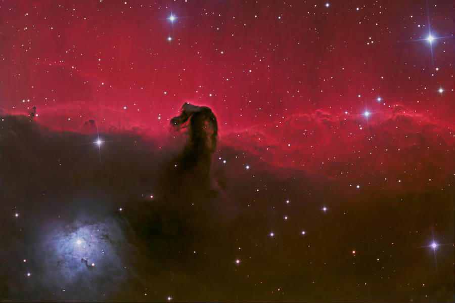 Astronomy Photograph - Horsehead nebula by Brian Peterson Astronomy Photograph - Horsehead nebula by Brian Peterson