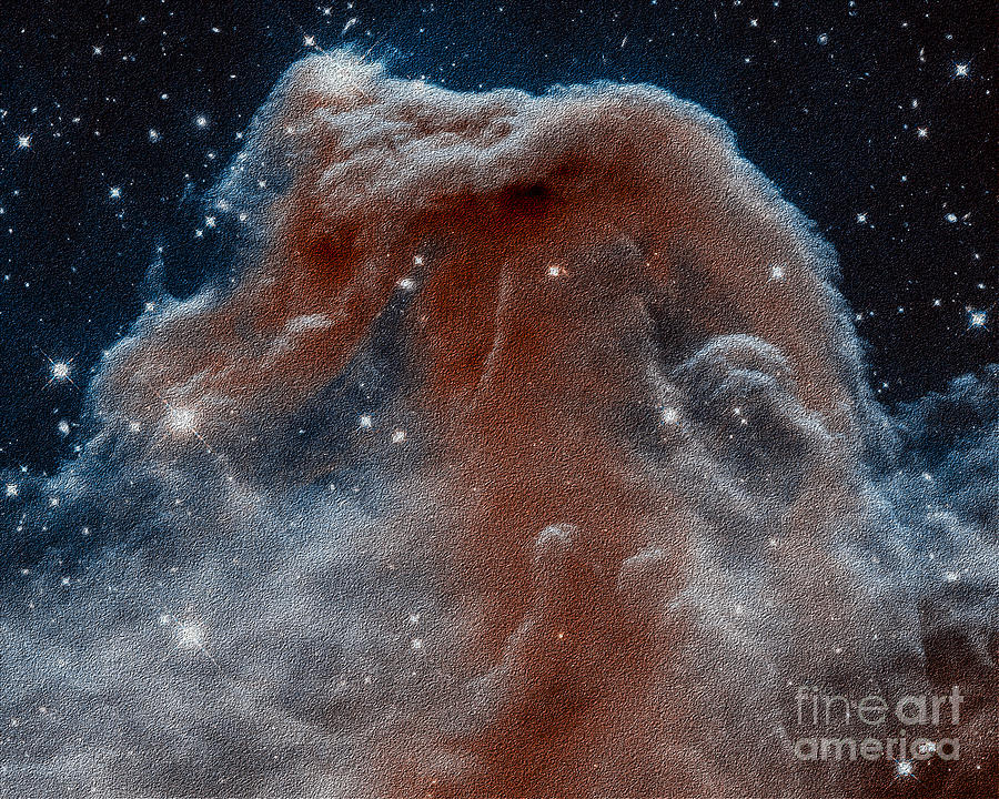 Horsehead Nebula Photograph by Mim White