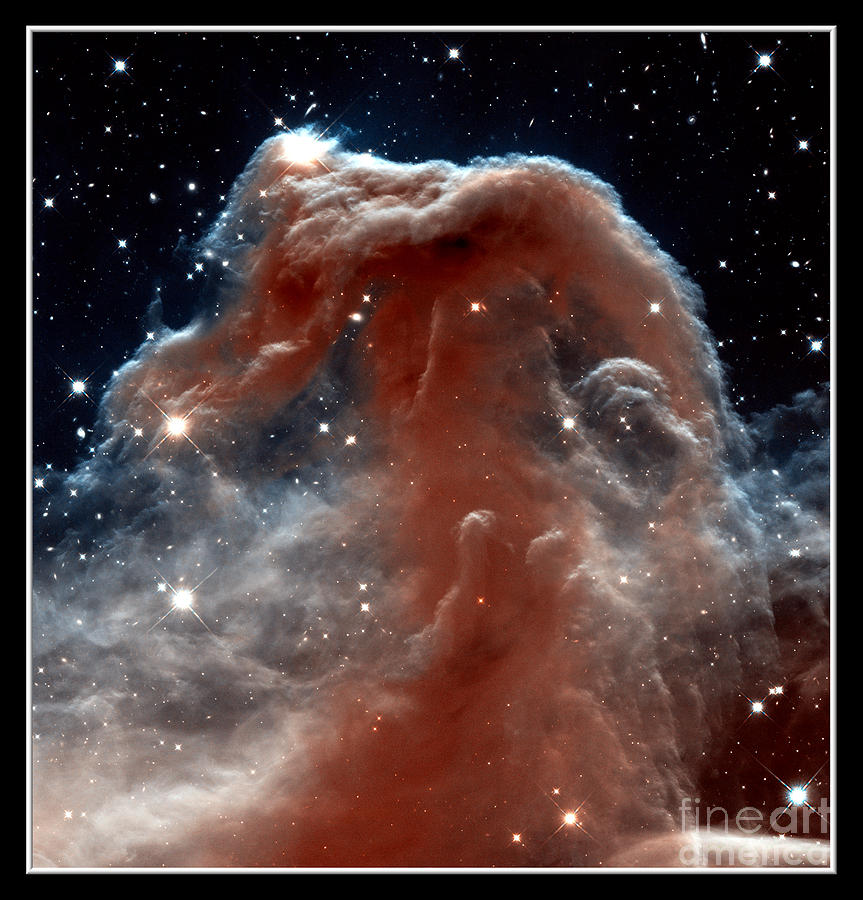 Horsehead Nebula NASA Photograph by Rose Santuci-Sofranko