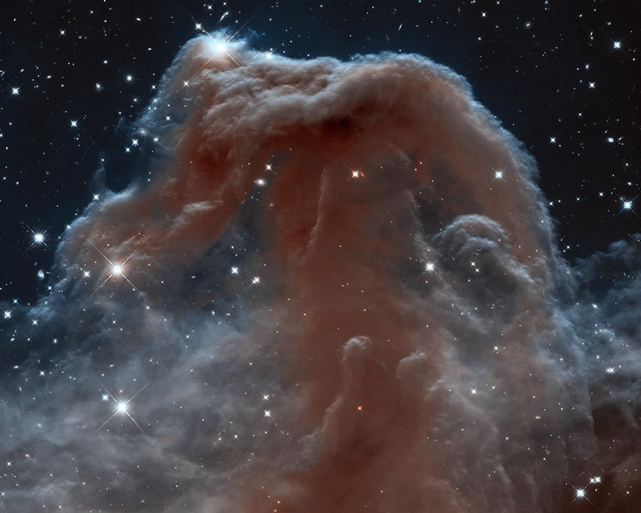 Interstellar Painting - Horsehead Nebula by Nasa