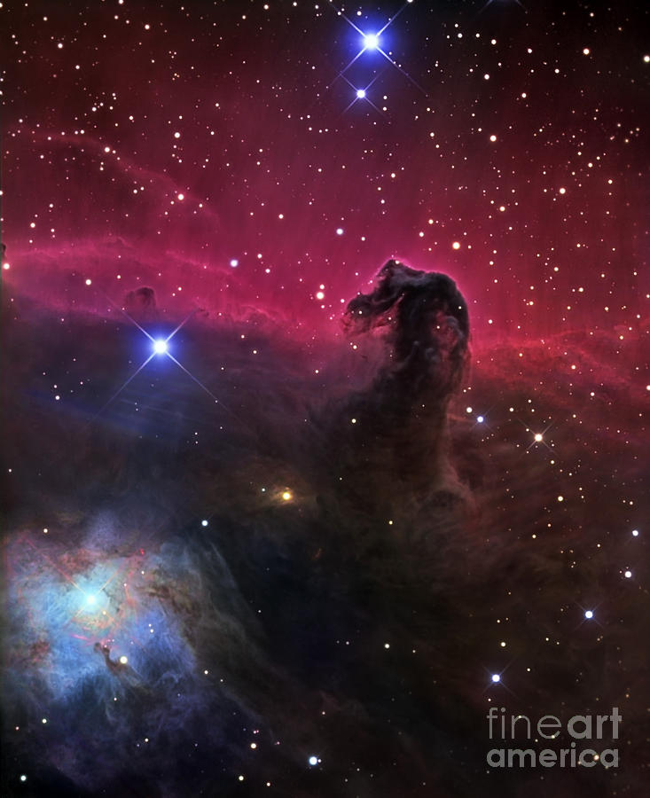 Space Photograph - Horsehead Nebula by R Jay GaBany