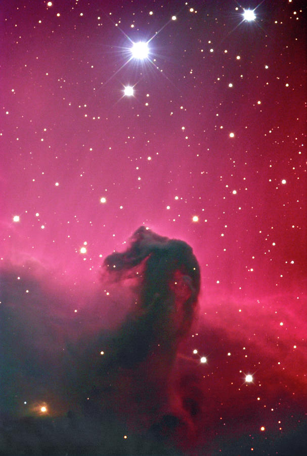 Horsehead Nebula Photograph by Robert Gendler & Jim Misti/science Photo ...