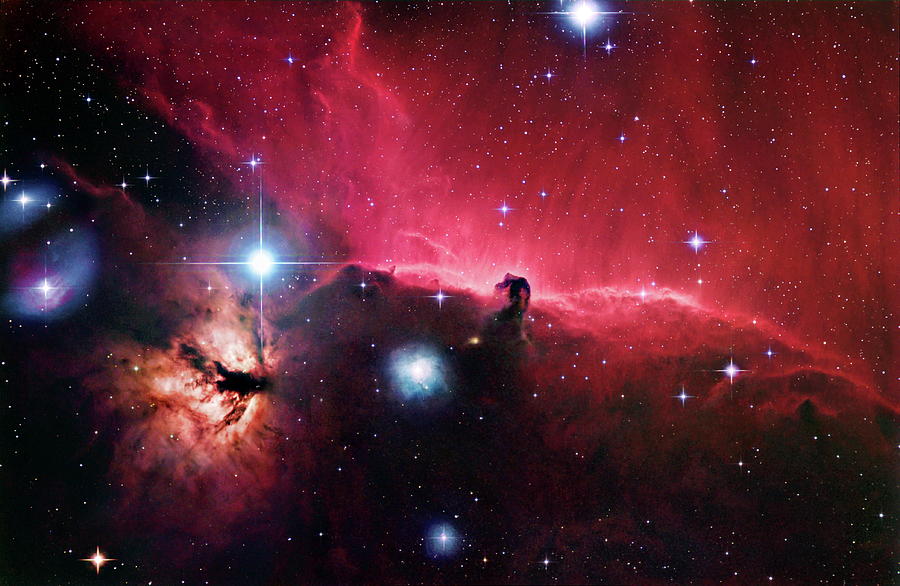 Horsehead Nebula Photograph by Robert Gendler/science Photo Library