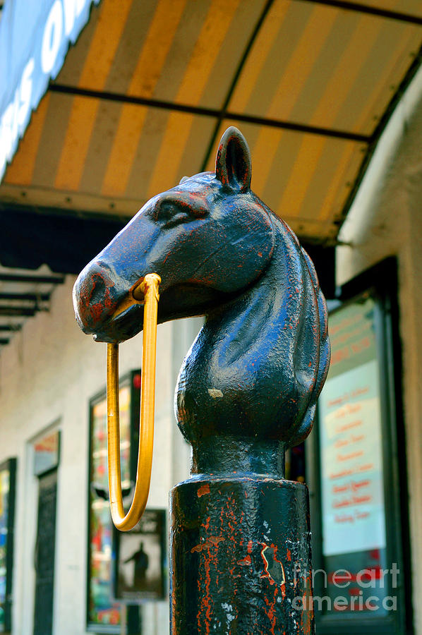 Horsehead Post with Bridle Photograph by Alys Caviness-Gober